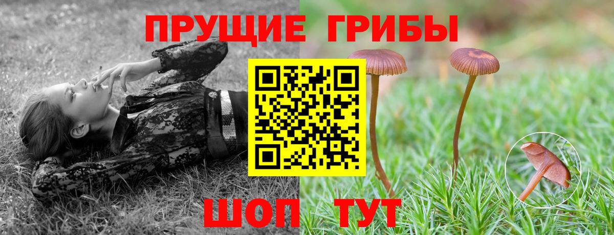 Галлюциногенные грибы Psilocybe  Псилоцибиновые грибы мухоморы  закладка  Вход с VPN  Киров 